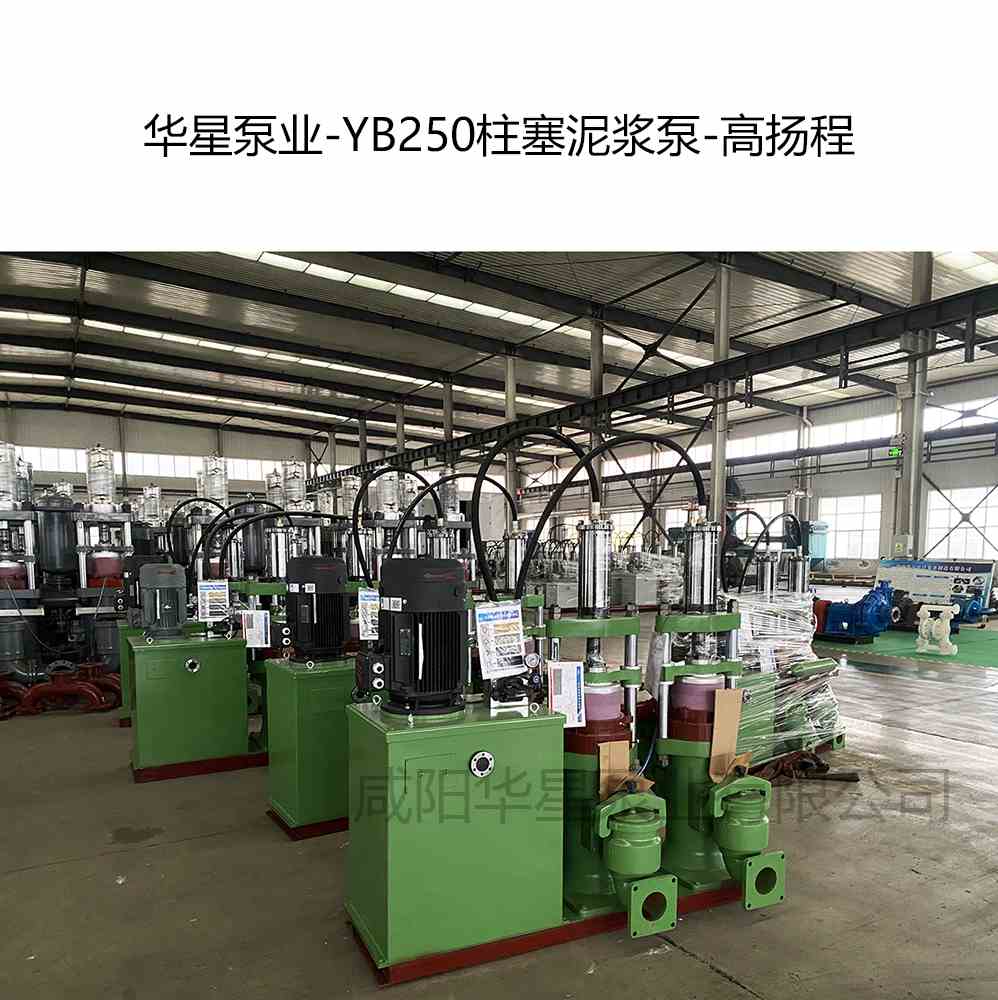 選礦廠購買2臺YB250高揚程柱塞泥漿泵